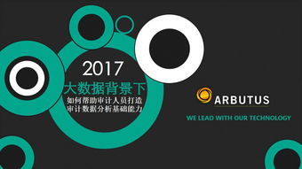 大數據環境下審計數據分析能力的構建路徑——基于互聯網數據服務的視角